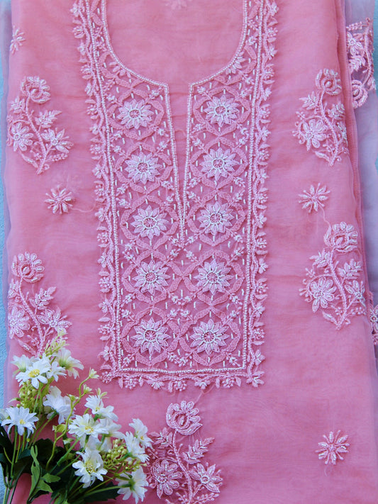 GULNAAR- GOWN & DUPATTA PIECE Pink Pakhi Pink Pakhi